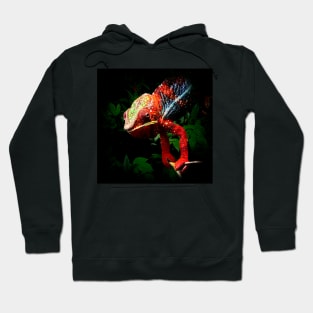 Chameleon Hoodie